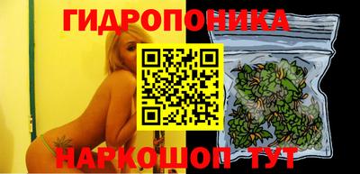индика Краснокаменск